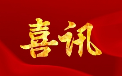 公司順利通過(guò)浙江省企業(yè)技術(shù)中心復(fù)評(píng)，并獲“優(yōu)秀”等級(jí)